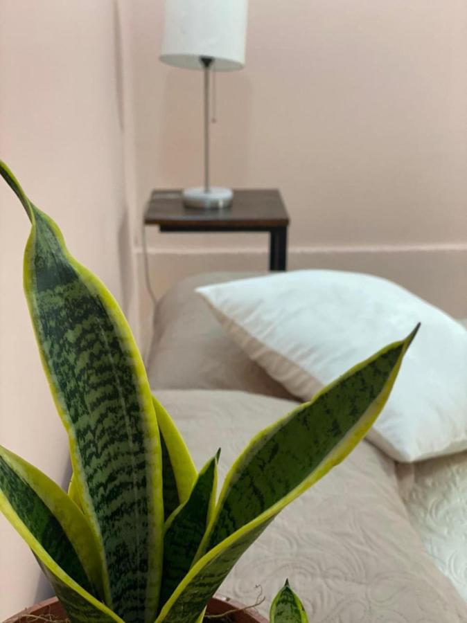 La Estancia Ideal Apartamentos La Fortuna 외부 사진